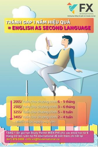 Kinh nghiệm tránh gap 1 năm hiệu quả