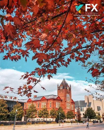 Queen's University - Canada