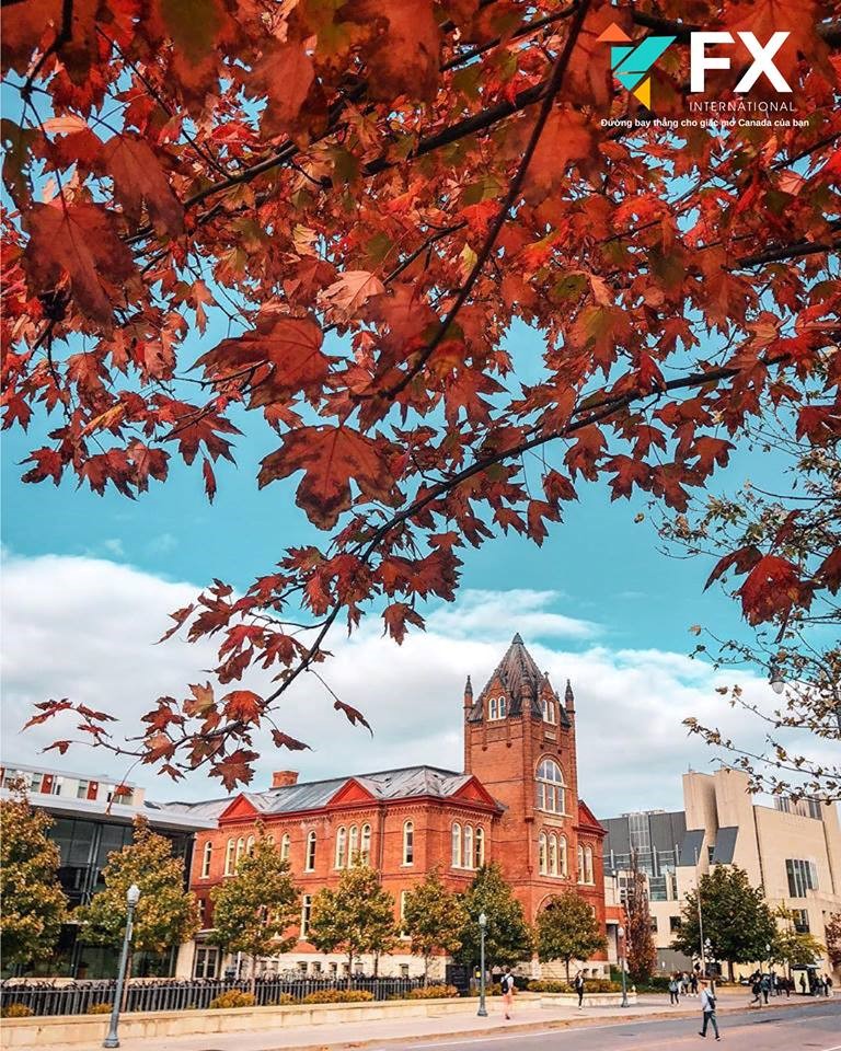 Queen's University - Canada