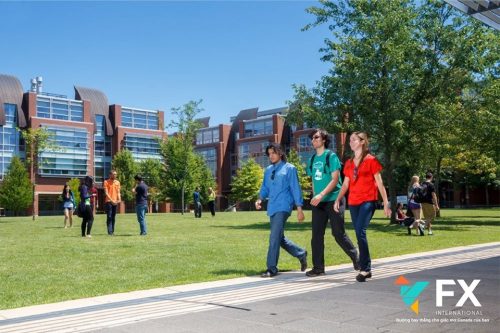 University of Ontario Institute of Technology - Canada