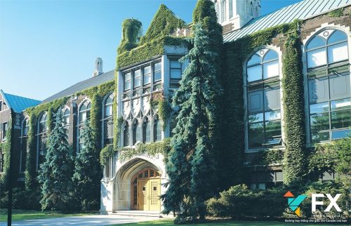 University of Windsor - Canada