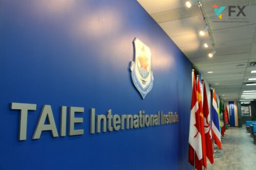 TAIE International Institute